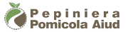 Pepiniera pomicola aiud